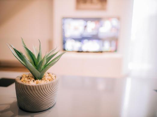 Apartman Aleksandar Lux Palic Luaran gambar