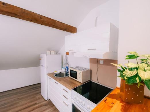 Apartman Aleksandar Lux Palic Luaran gambar